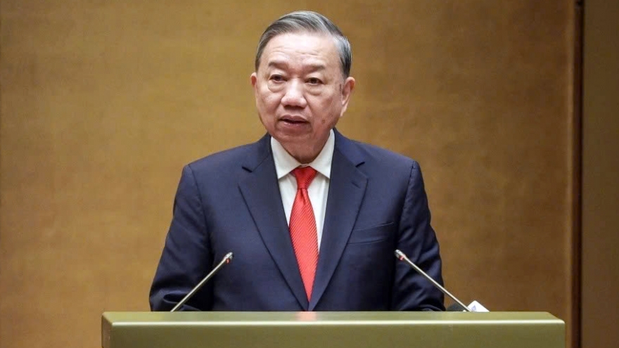 Party chief urges action, discipline to turn Party Congress Resolution into results